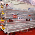 Design hot galvanized chicken breeding cage with automatic drinking system